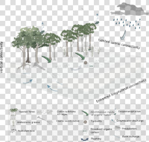 Figure 35 Conceptual Model Of Streams During Periods   Conceptual Model Instream Flows  HD Png Download