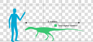 File   Tanycolagreus Scale   Svg   Lesothosaurus  HD Png Download