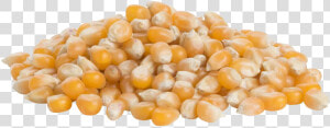 Transparent Pop Corn Png   Corn Kernels  Png Download