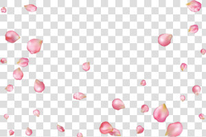  petalos  sakura  flordecerezo Petals  sakuratree   Pink Rose Petals Fly  HD Png Download