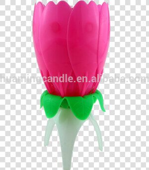 Flower Shape Birthday Candle Singing Happy Birthday  HD Png Download