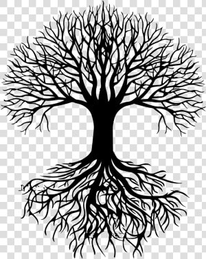 Roots Drawing Oak Tree   Tree Roots Vector Png  Transparent Png