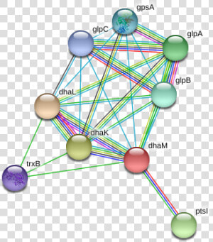 Dham Protein   Circle  HD Png Download