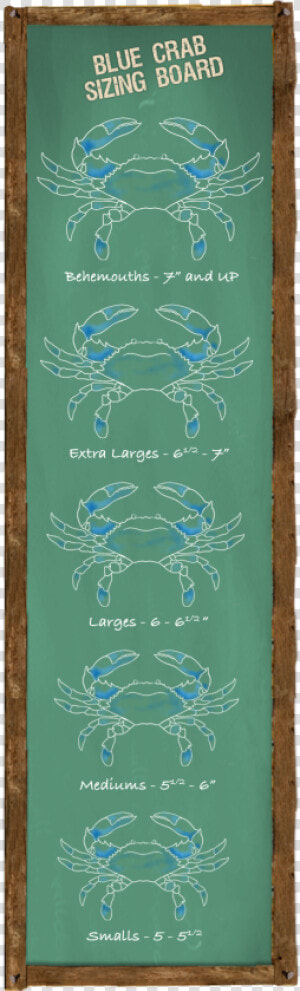 Blue Crab Sizing Board   Crab Sizes Number 2  HD Png Download