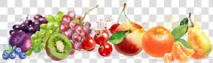 David Del Curto   Imagenes De Frutas Png  Transparent Png