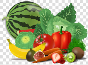 Fresh Healthy Food Png Transparent Image   Cartoon Healthy Food Png  Png Download