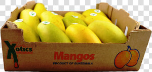 Offering Caselot Will Increase Sales   Mango Ataulfo Case  HD Png Download