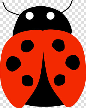 Big Image Lady Bird No Background   Minus Joaninha Png  Transparent Png