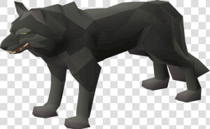 Dire Wolf  HD Png Download