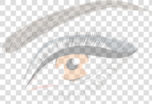 Eyelash Drawing Eyebrow  HD Png Download