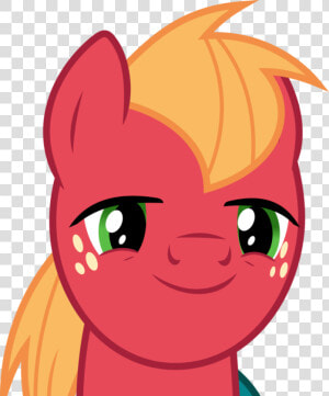 Transparent Little Mac Png   Big Macintosh Mlp Face  Png Download