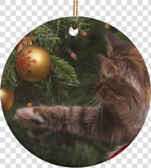 Christmas Cat Ornaments   Christmas Cat Meme  HD Png Download