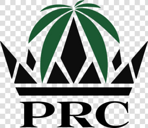 Prcbottom   Palm Royale Collective  HD Png Download