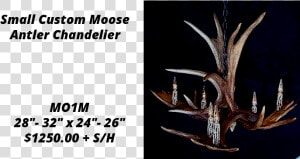 Moose Antler Chandeliers   Deer  HD Png Download