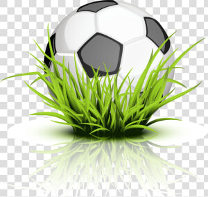 Soccer Ball Grass Transparent   Soccer Ball With Grass Png  Png Download