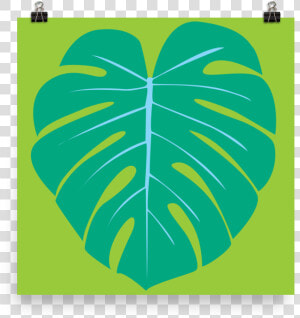 Monstera Leaf 2 By Graeme Luey   Illustration  HD Png Download