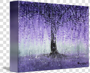 Wisteria Dream  HD Png Download