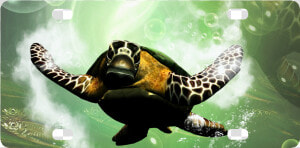 Hawksbill Sea Turtle   Png Download   Sea Turtle  Transparent Png