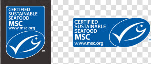 The Blue Msc Fish Tick Format Vertical And Horizontal   Marine Stewardship Council  HD Png Download