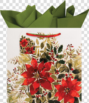 Poinsettia  HD Png Download