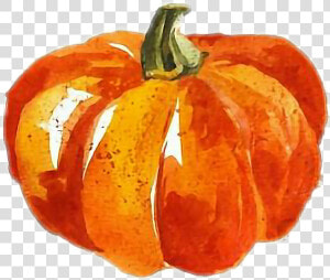  calabaza  acuarela   Happy Thanksgiving Pumpkin  HD Png Download