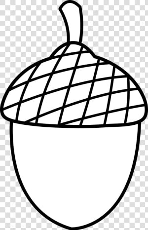 Black And White Acorn Clipart   Outline Acorn Clip Art  HD Png Download