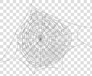 Spider Web Spider Silk Clip Art   Spider Web Transparent Background  HD Png Download