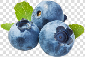 Blueberries Png   Do You Say Blueberry In Spanish  Transparent Png