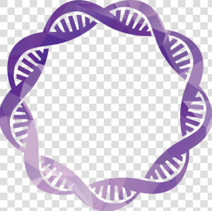 Dna Png   Transparent Dna Background Png  Png Download