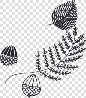 Various Types Of Leaves Cartoon Transparent   Drawing  HD Png Download