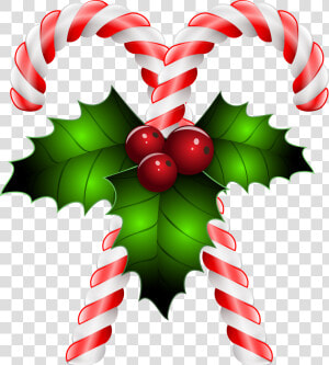 Christmas Candy Cane Transparent Clipart   Png Download   Christmas Candy Cane Transparent Background  Png Download