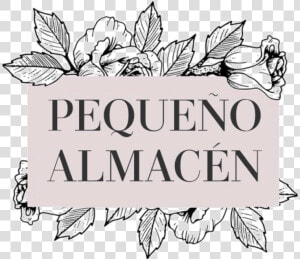 Pequeño Almacén De Cojines   Rebelle Beauty  HD Png Download