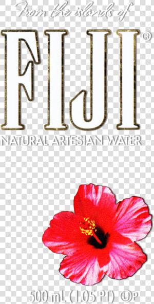 Hibiscus Flower Png Image Collections   Fiji Water Bottle Flower  Transparent Png