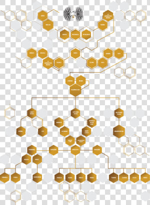 Nelson Mandela Family Tree   Png Download   Thembu Family Tree  Transparent Png