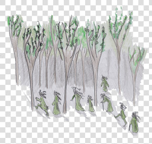 Tree Spirits Illustration   Sketch  HD Png Download