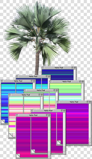  vaporwave  aesthetic  notepad   Transparent Background High Resolution Trees Png  Png Download