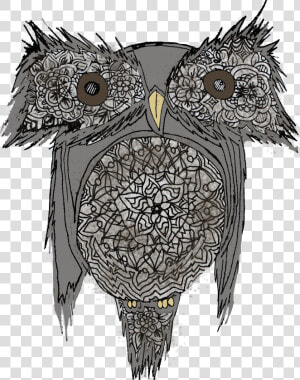 Western Drawing Steampunk Transparent Png Clipart Free   Eastern Screech Owl  Png Download