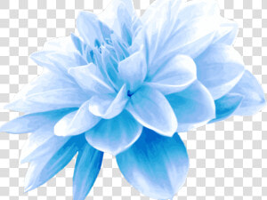 Teal Clipart Blue Green Flower   Light Blue Flower Png  Transparent Png