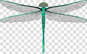 Clip Art Symbolism And Meaning Off   Big Dragonfly Clipart  HD Png Download