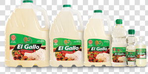 Gallo Png  Transparent Png