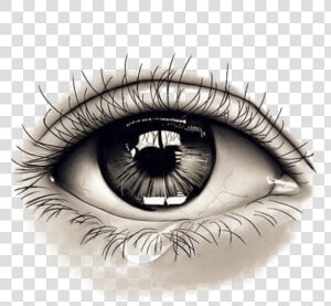 Transparent Png Eye   Realistic Design Eye Tattoo  Png Download