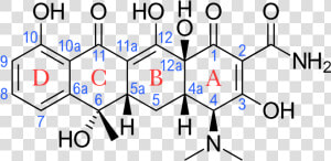 Tetracycline Antibiotics  HD Png Download