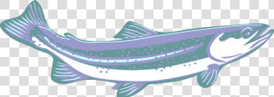 Trout  Clip Art  Purple  Blue  White  Speckled  Curved   Transparent Trout Clipart  HD Png Download