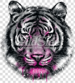 Tiger Face Png  tiger Face   Diseño De Cara De Tigre  Transparent Png