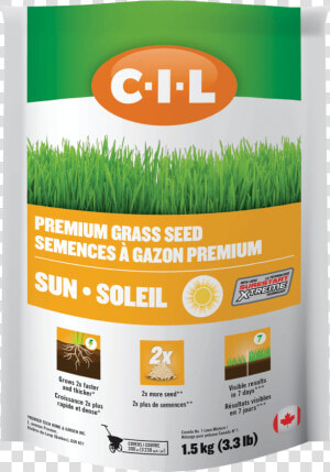 Cil Premium Sun Grass Seed   Cil Aluminum Sulphate  HD Png Download