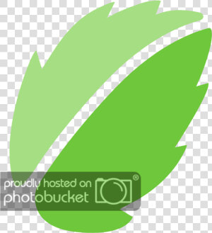 Mint Logo Png   Linux Mint  Transparent Png