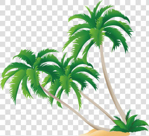 Transparent Coconut Tree Png   Coconut Tree Vector Png  Png Download