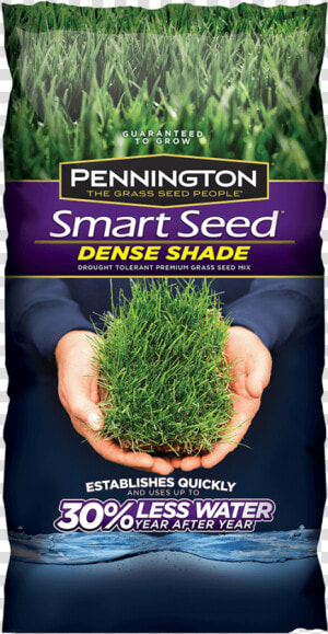 Pennington Shade Grass Seed  HD Png Download