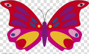 Butterfly Raster Picturet   Butterfly Bitmap  HD Png Download