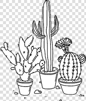  sticker  tumblr  aesthetic  png  cactus  plant  blackandwhite   Aesthetic Transparent Black And White  Png Download